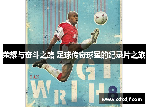 荣耀与奋斗之路 足球传奇球星的纪录片之旅