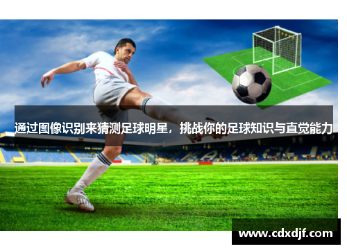 通过图像识别来猜测足球明星，挑战你的足球知识与直觉能力