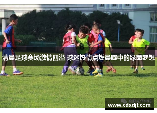 清晨足球赛场激情四溢 球迷热情点燃晨曦中的绿茵梦想