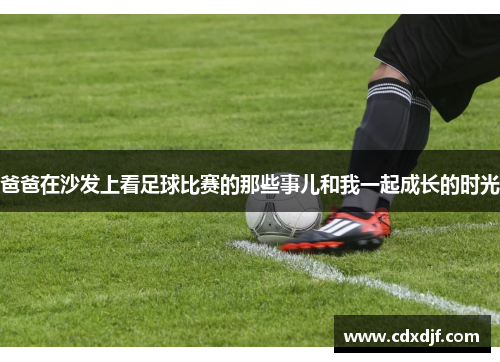 爸爸在沙发上看足球比赛的那些事儿和我一起成长的时光